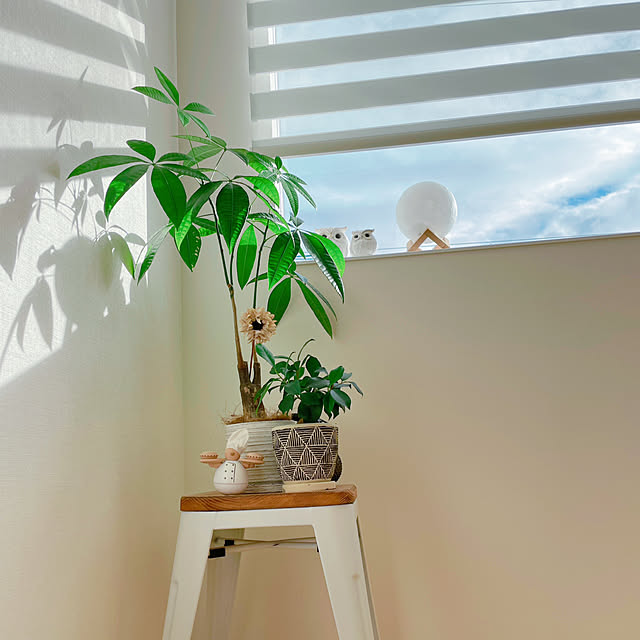 YUKOさんの部屋