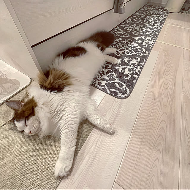 ukoさんの実例写真
