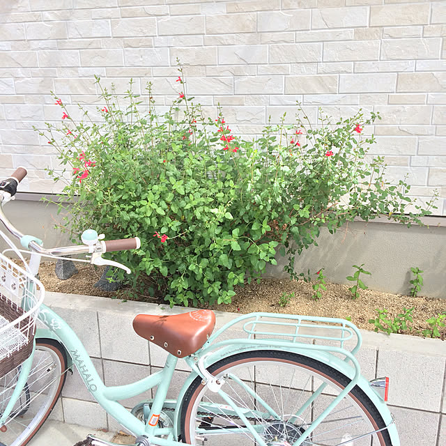 ayayayayaさんの実例写真