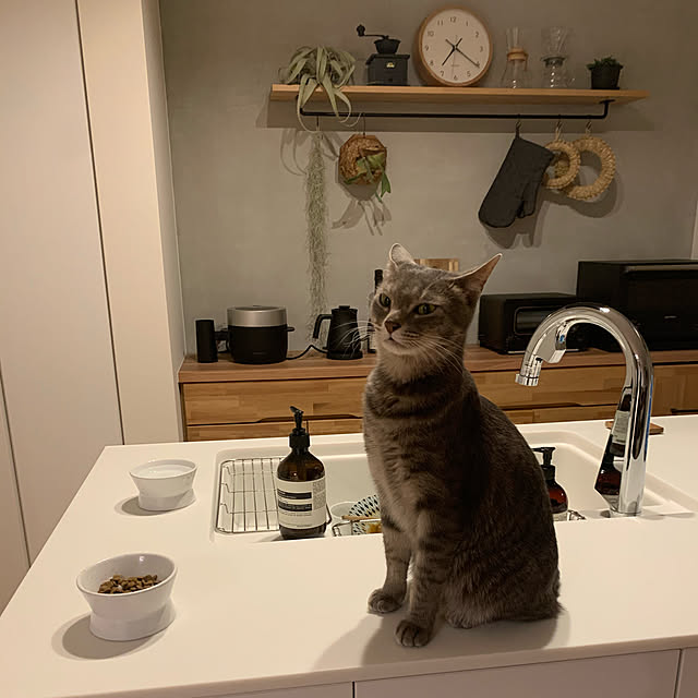cocokuro0124さんの実例写真