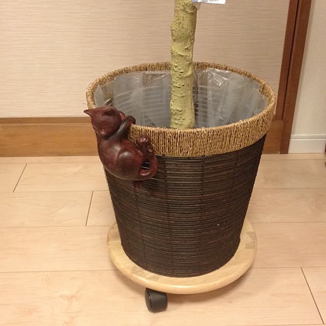 dodoさんの実例写真