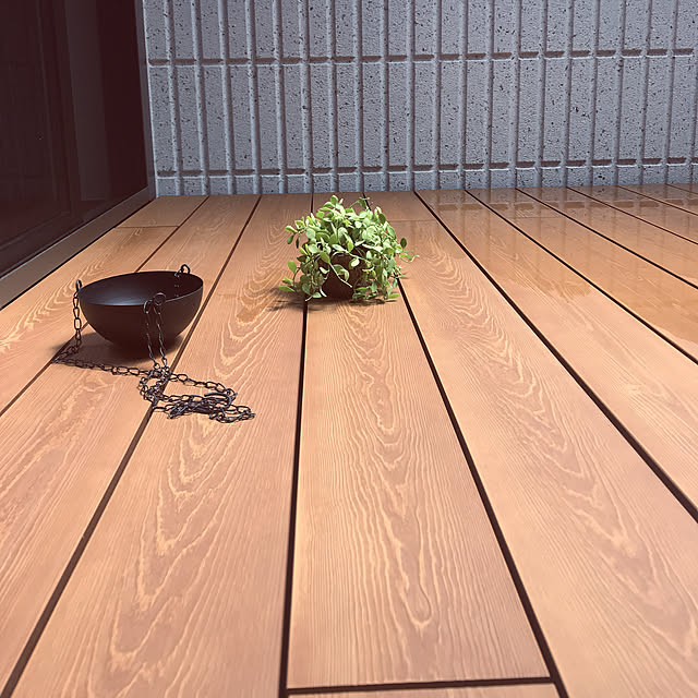 観葉植物/北欧/リビングのインテリア実例 - 2019-05-02 12:31:07
