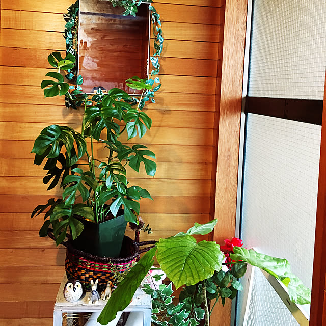 m-ktry.0530mikaさんの実例写真