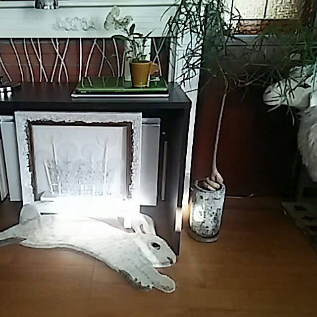 spinetailさんの実例写真