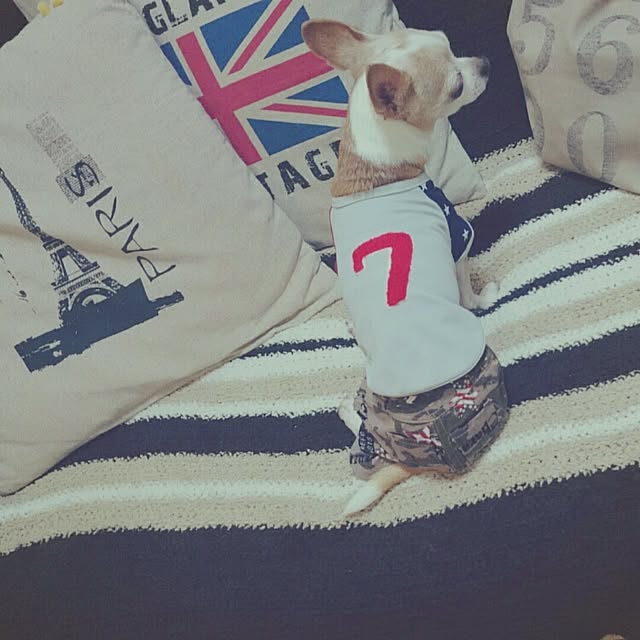 and_LaLaLa...さんの実例写真