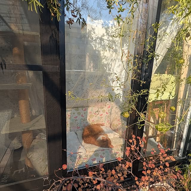 mori_6_12さんの部屋