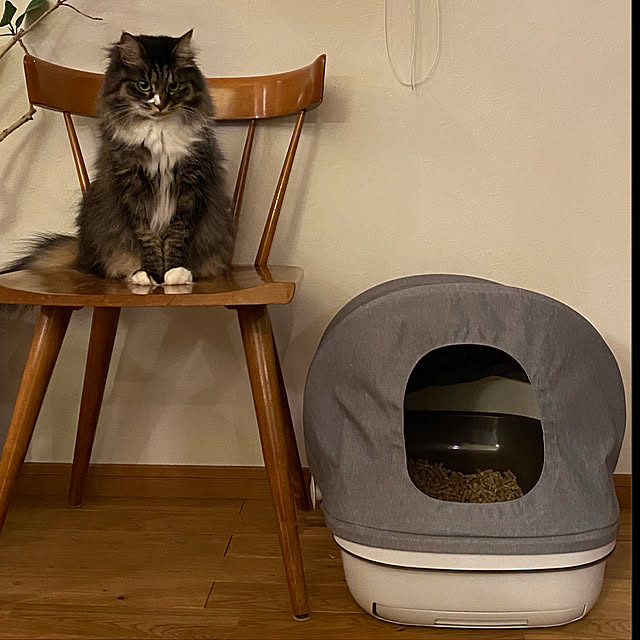 Hisashiさんの実例写真