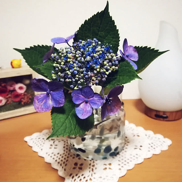 popoponopoさんの実例写真