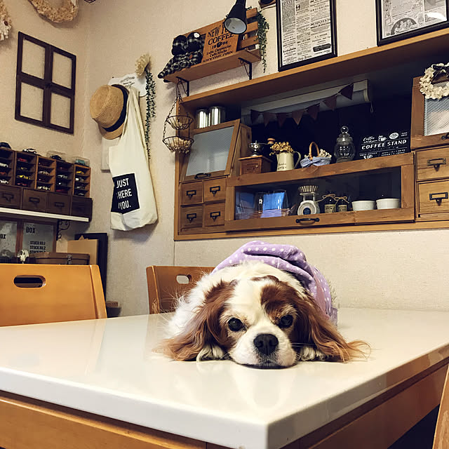 canmilmamaさんの実例写真