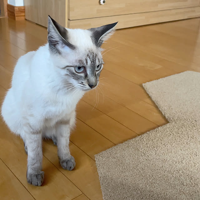 3ho5さんの実例写真