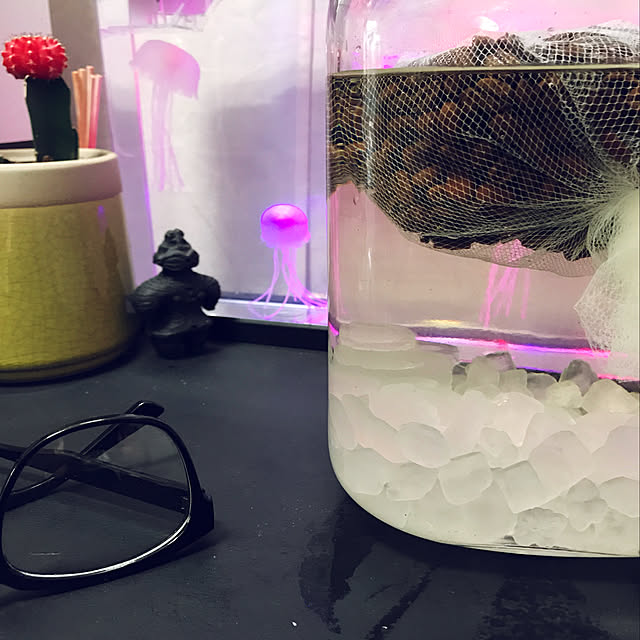 arioriさんの実例写真