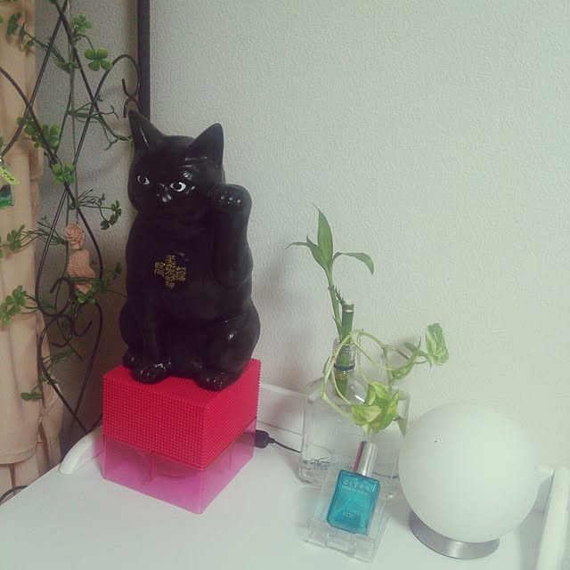 shineyさんの実例写真