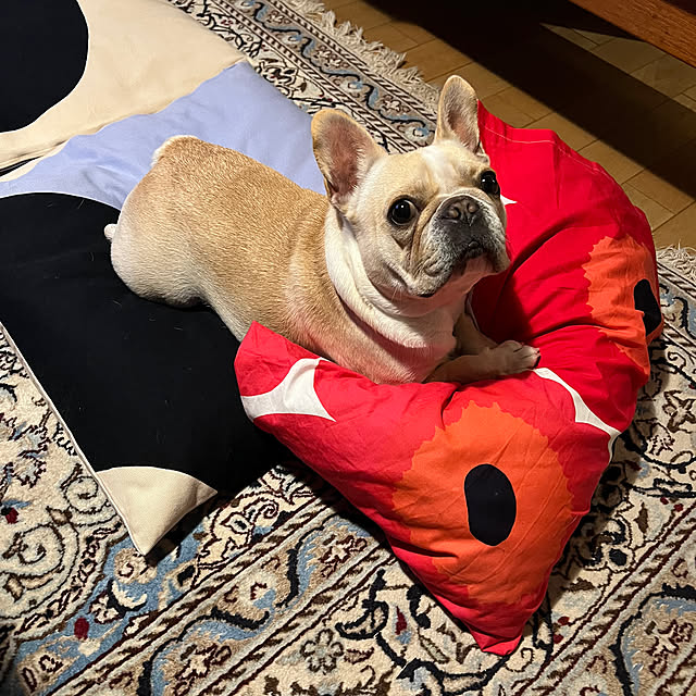 Inarichinさんの実例写真