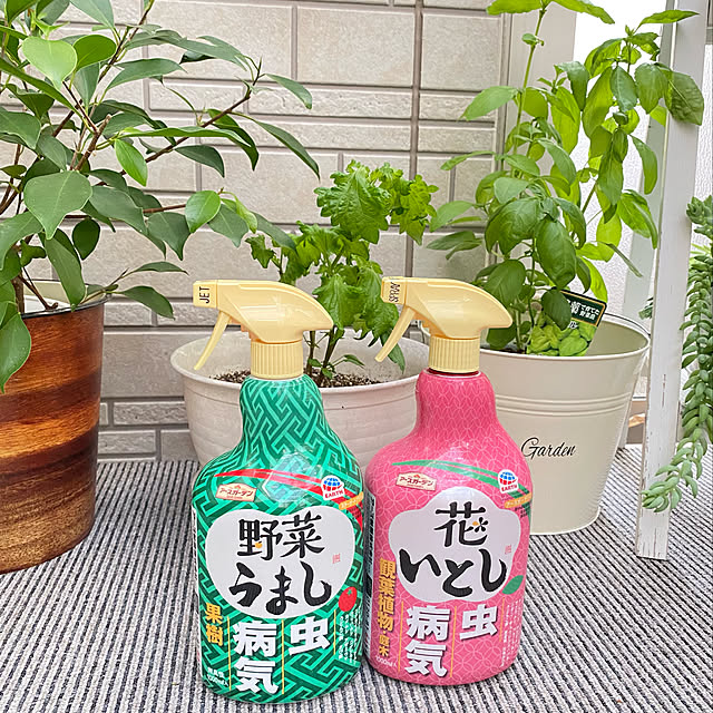 ayaさんの実例写真