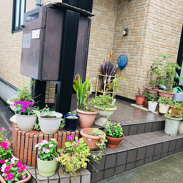 floraさんの実例写真