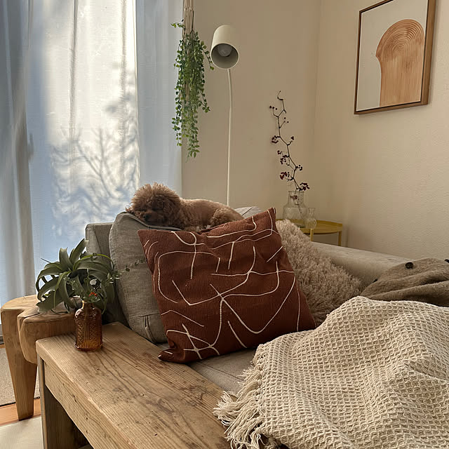 Tarutoさんの実例写真