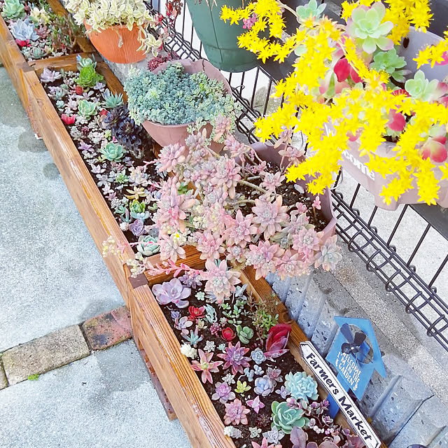 VERANDARJUNさんの実例写真
