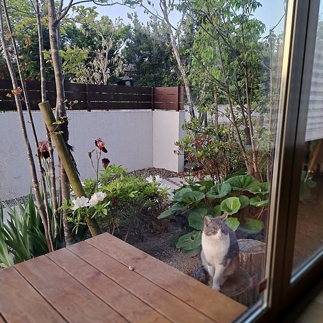 Saranさんの実例写真