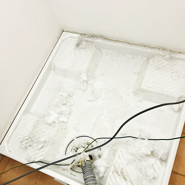 kittyさんの部屋