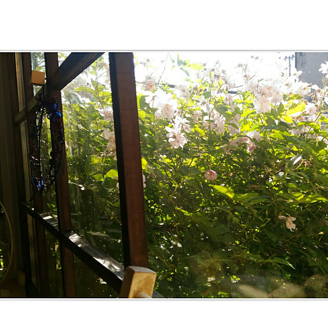 kikusukeさんの実例写真