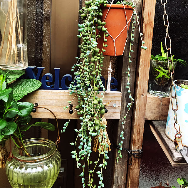 beautifulflowerさんの実例写真