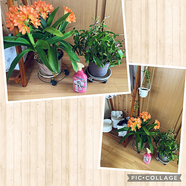 CoCo0617さんの部屋