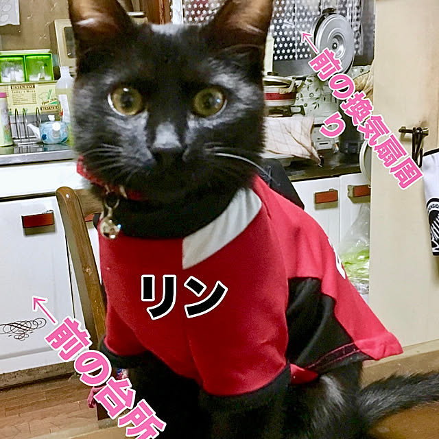 you-goさんの部屋