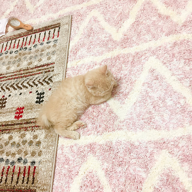 naokoさんの実例写真