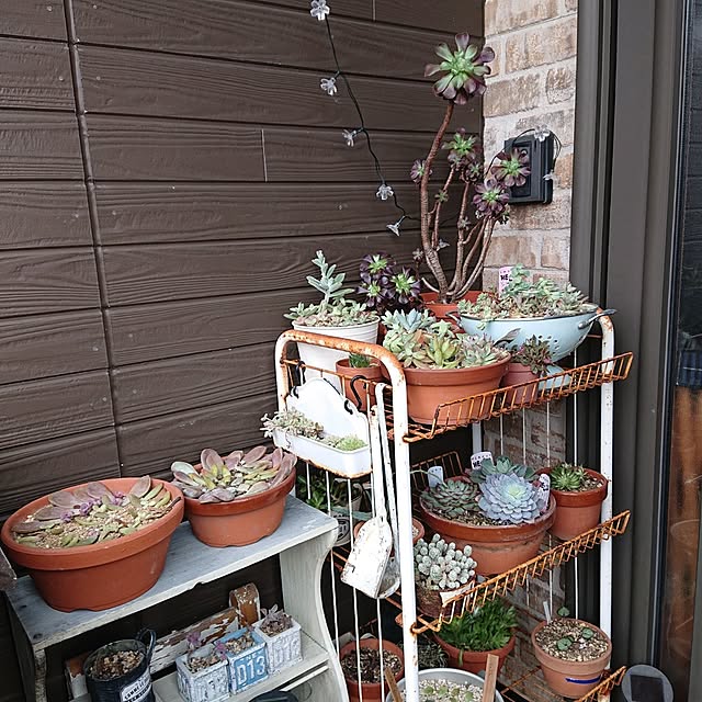 tikuwaさんの部屋
