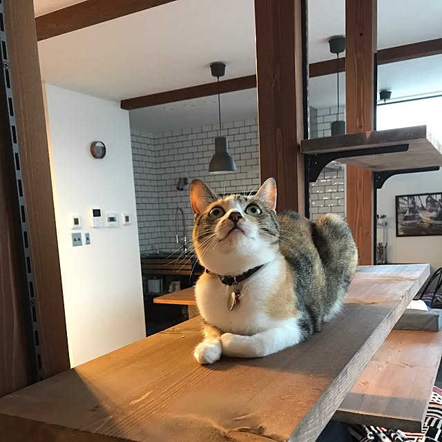 Nozomiさんの実例写真