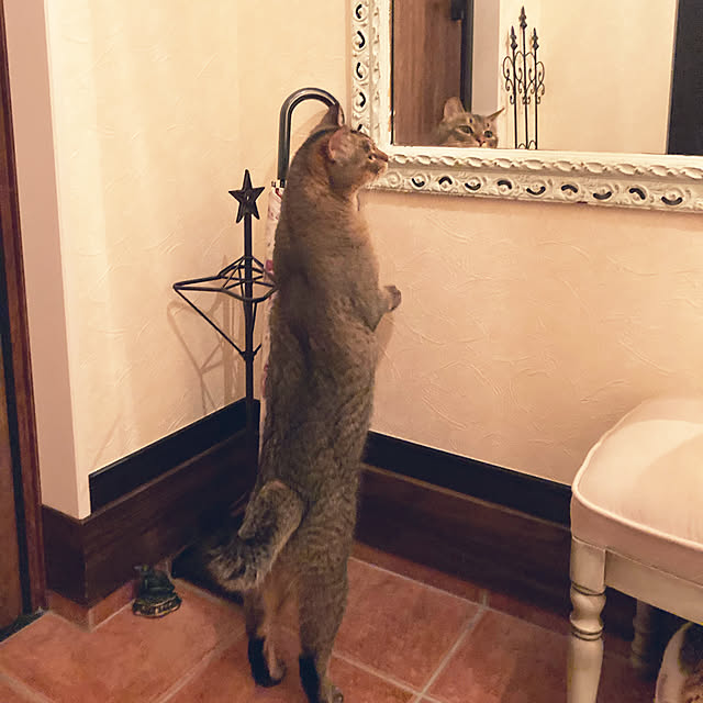 jill_lowさんの実例写真