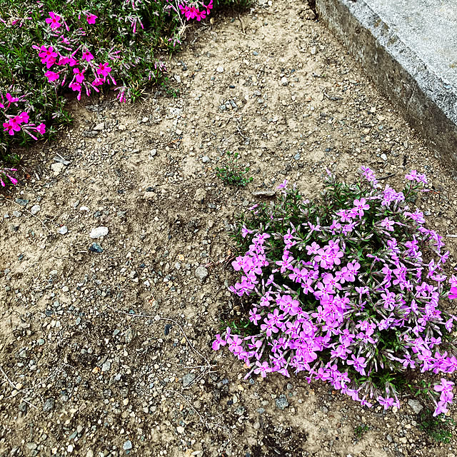 Rさんの実例写真