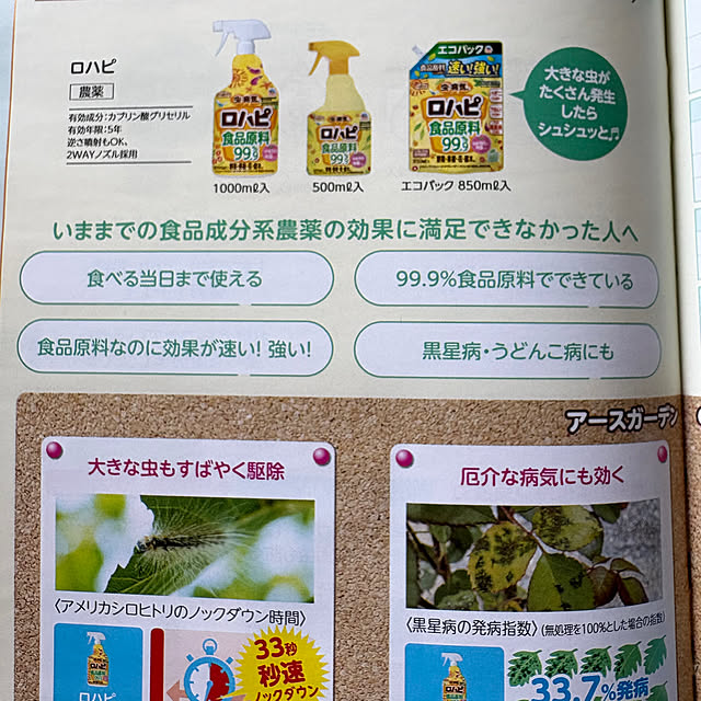 momo_sanさんの実例写真