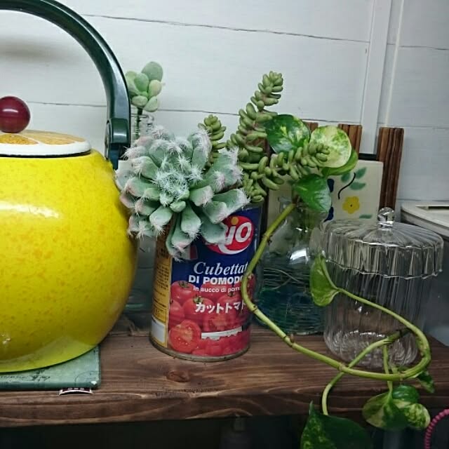 棚のインテリア実例 - 2016-05-11 07:45:11
