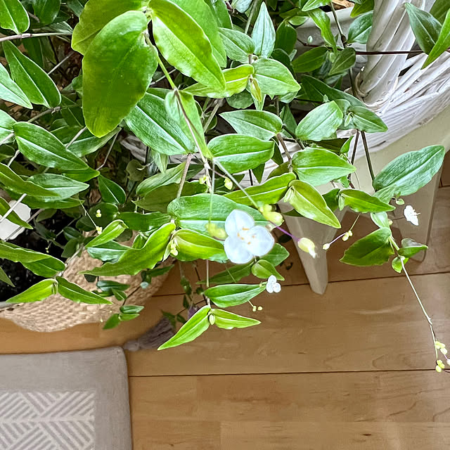 reeさんの部屋