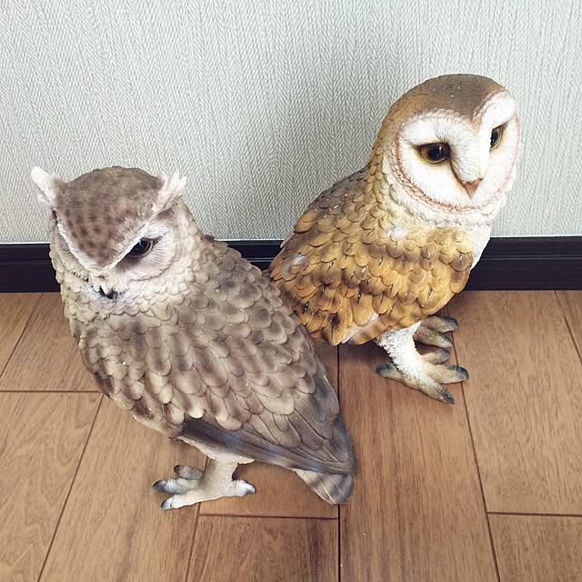 r.crane.さんの実例写真