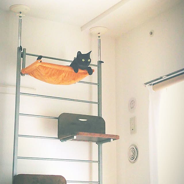 kechonpaさんの実例写真