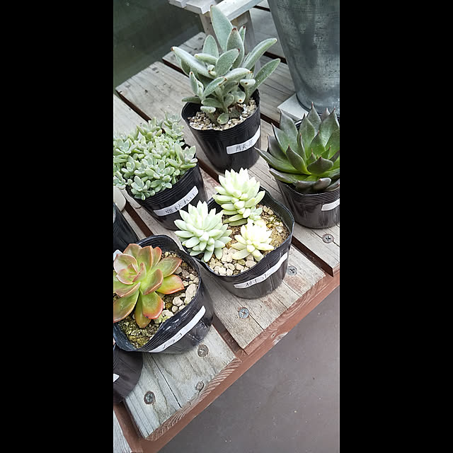 YuKwnさんの実例写真