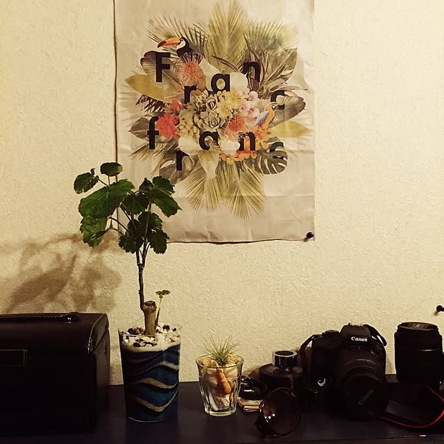 実例写真