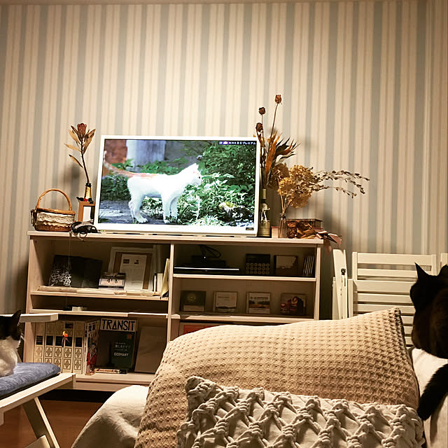 akiさんの実例写真