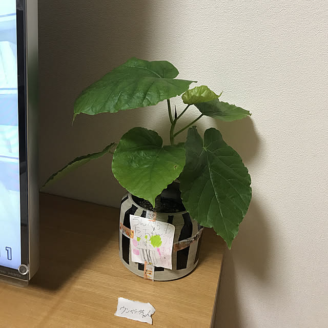 comoさんの実例写真