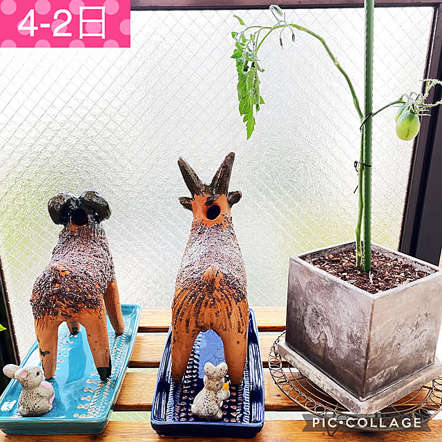 aureaさんの実例写真