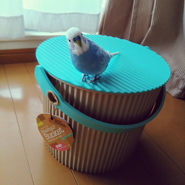 toratanさんの実例写真