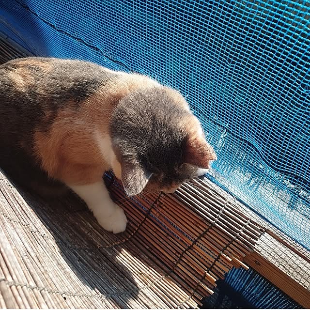 fukuさんの部屋