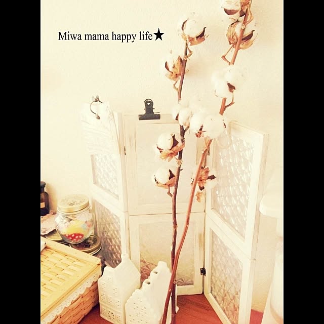 miwaさんの実例写真