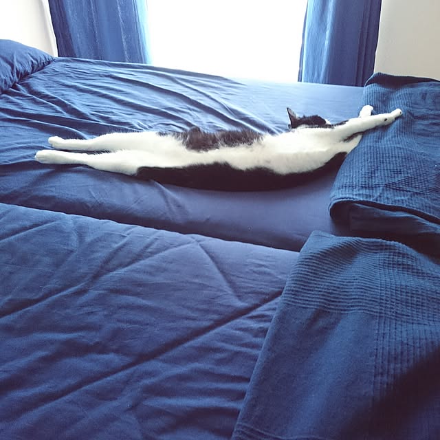 hiyo.pietさんの実例写真