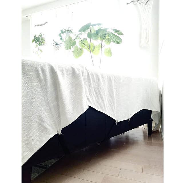 kodaminさんの部屋