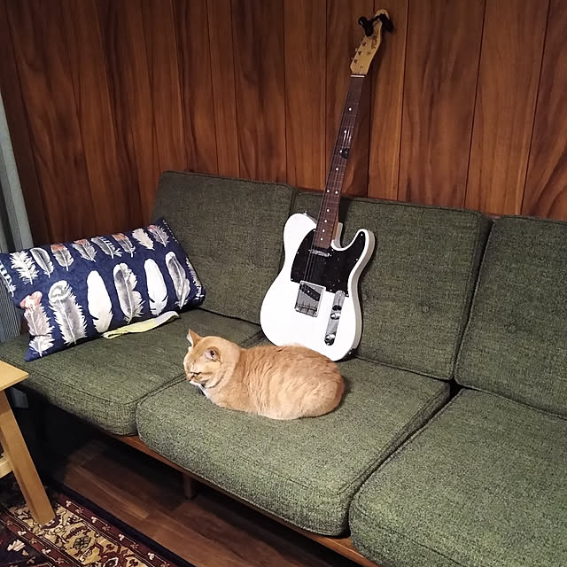 k.ymさんの実例写真