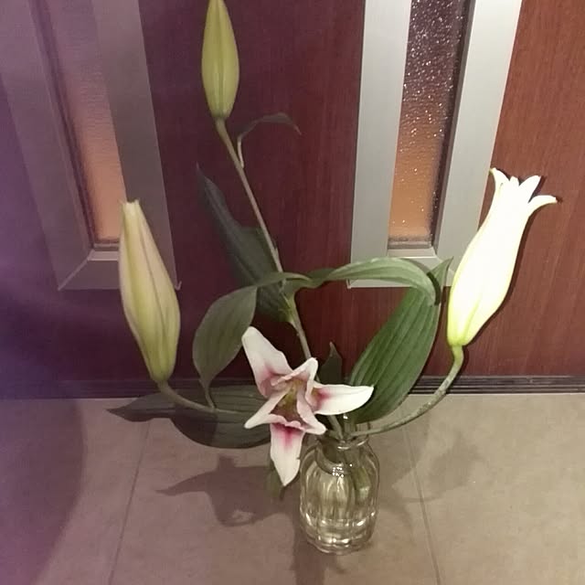 Lovelyさんの実例写真