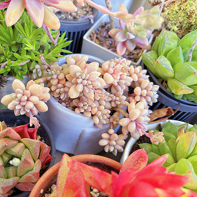 machikoooさんの部屋